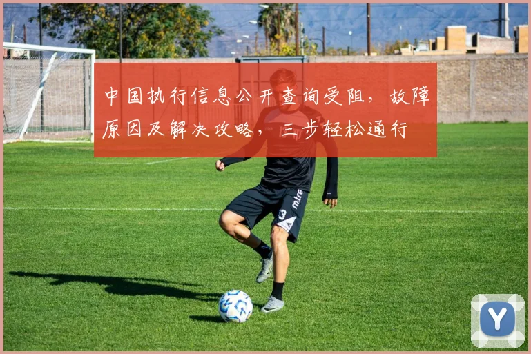 中国执行信息公开查询受阻，故障原因及解决攻略，三步轻松通行